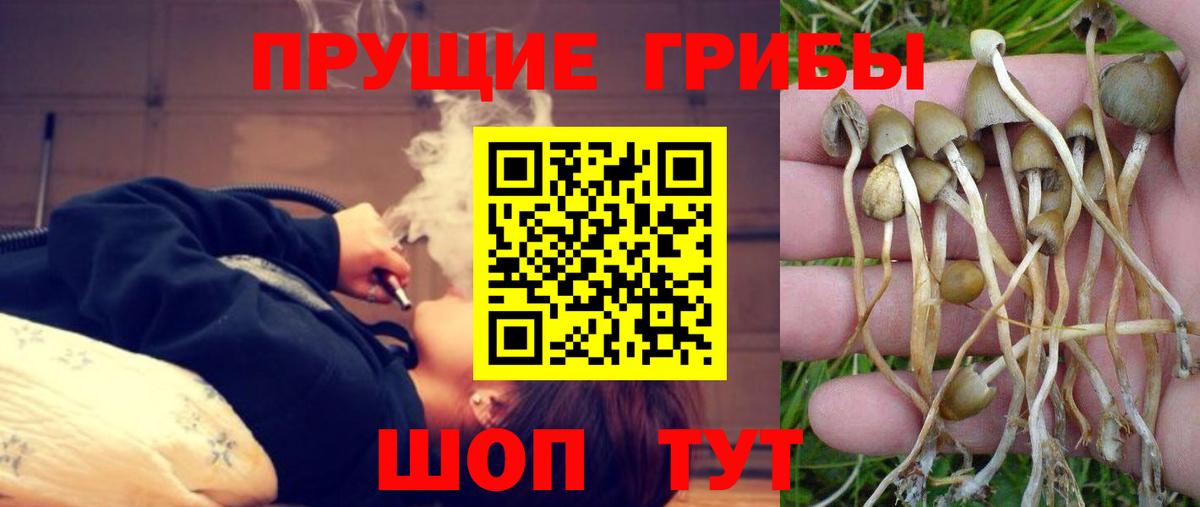 Галлюциногенные грибы мухоморы  Вход с VPN  Пыть-Ях 